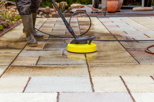 Best Warehouse Cleaning  in Pioche, NV